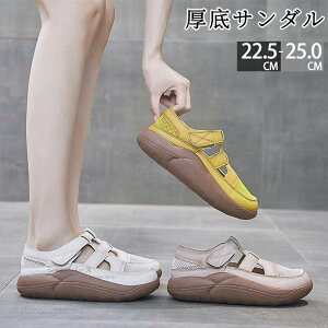 Xj[J[ T_ fB[X Ȃ ăT_ AEghA XgbvT_ bVXj[J[ }WbNe[v r l V[Y ₷