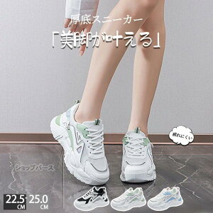  Xj[J[ fB[X _bhXj[J[ EH[LOV[Y _CGbg Xj[J[ JWA ꂢ ʋC y ɂ _CGbgXj[J[