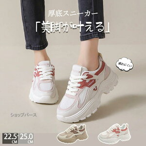  Xj[J[ fB[X _bhXj[J[ EH[LOV[Y _CGbg Xj[J[ JWA ꂢ ʋC y ɂ _CGbgXj[J[