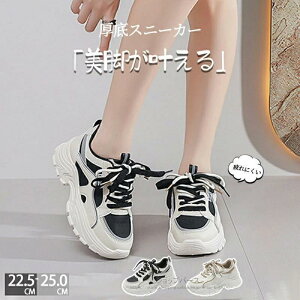  Xj[J[ fB[X _bhXj[J[ EH[LOV[Y _CGbg Xj[J[ JWA ꂢ ʋC y ɂ _CGbgXj[J[