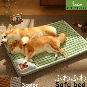 ybgxbh xbh Lxbh ybg}bg Lp ӂӂ ӂ xbh ybgpi g ~ ^ ^