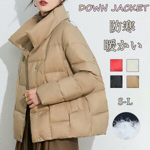 _ER[g fB[X _ER[g_E _EtFU[ AE^[ ~ ~ y g h JWA y ʋ ʊw h