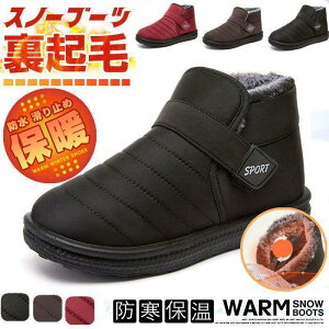 Xm[u[c fB[X hC ~C N ~pu[c y hu[c h V[gu[c JWA C ȌC ʋ ʊw