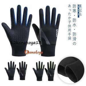 ~ LbY LbY ̎q N t[X  j̎q X|[cO[u qp h h  TbJ[  WjA ʊw ۉ