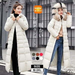 _ER[g fB[X O   t[ht  g   ؍ ꂢ g ~V t@bV