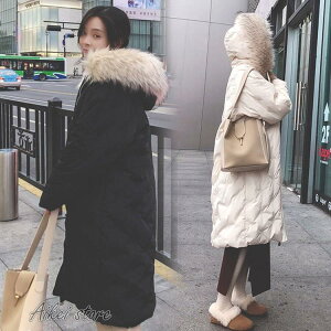 _ER[g fB[X ȃWPbg _EWPbg fB[X ꂢ 傫TCY O Xt N   g 2F