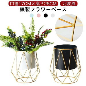 ԕr  H` k S[h t[x[X Ԃт  hCt[ 26cm Vv  Ԋ CeA  rO