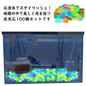  Ȃ   100Zbg   ~    Ӑ  ȃGl ~ u   CeA AN