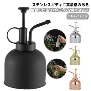 XeX  ~Xg Xv[ K[fjO | ϗtA ~XgXv[ Xv[ k  킢  CeA G