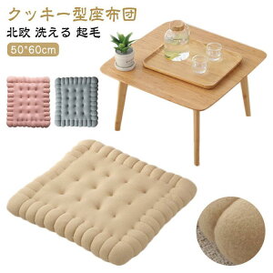 zc ` XNGA tANbV lp `FANbV rXPbg ` 50*60cm ʃNbV k 􂦂 50*60cm