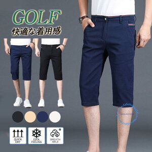 Stpc n[tpc Y  StEFA ̓ {gX `mpc  G Y{   AEghA