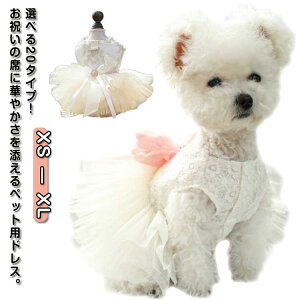 hX ybg  ̕ hX EFfBOhX  s[X p[eB[hX hbOEFA { [X Pl vZX 