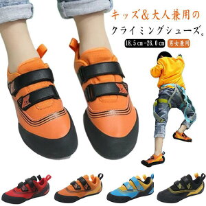 LbY NC~OV[Y {_OV[Y qp ̎q j̎q jbgXj[J[ [Jbg }WbNe[v y ~ ʋC Xg