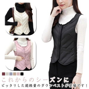 V[X _ExXg fB[X UlbN _ER[g Ci[_EWPbg gbvX y h g Cg_E TCY H