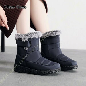 ӂӂ Xm[u[c H h Ȃ  {A fB[Xu[c EB^[u[c h ~hu[c Xm[V[Y h ~ ~p