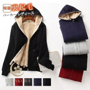 N p[J[ fB[X {A XEFbg {A 傫TCY   gbvX H ~  ɒg