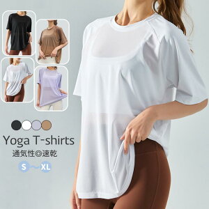 TVc X|[cEFA K EFA gbvX fB[X  TVc  ێ O z  jO tBbglXEFA