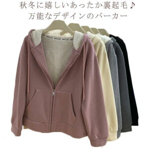 fB[X p[J[ {A O XEFbg WPbg  {Ap[J[   O H ~ H~ N n  g