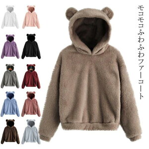  fB[X t@[WPbg GRt@[ t@[ n t@[R[g {A h WPbg t[ht V[gR[g N}