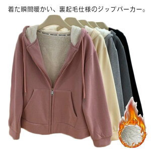 N p[J[ fB[X WPbg {A ~ AE^[ p[J[ H ~ h R[g {A  Wbvp[J[ WbvAbv  J