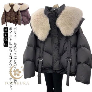 ȃWPbg _E R[g fB[X h h V[g tFCN_EWPbg _ER[g H ~ u] Wp[ y y