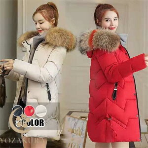 _EWPbg fB[X OR[g ȃR[g  _EWPbg AE^[ ~ h _ER[g 20 30 40