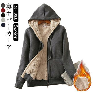 {A p[J[ fB[X Y Wbvp[J[ h  H~ gbvX t[ht  㒅 g WbvAbvp[J[ WPbg W