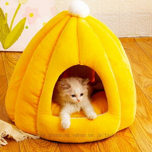 ybgxbh ~ nEX ӂӂ  g L  xbh 􂦂 pxbh  킢 ybgnEX ^ h[ ʔN lRxbh _炩