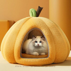 ybgxbh ~ nEX ӂӂ  g L  xbh 􂦂 pxbh  킢 ybgnEX ^ h[ ʔN lRxbh _炩