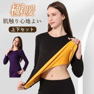 q[gebN hCi[Zbg Ci[EGA fB[X 2_Zbg  {A NуCi[ MCi[ ɒg A_[EFA