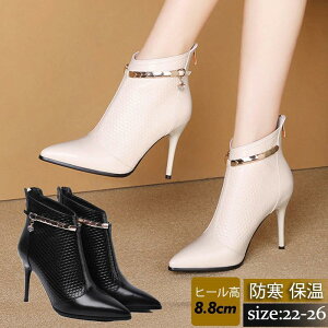 V[gu[c fB[X u[c sq[ |CebhgD n Vv ɂȂ JWA ZNV[ a v[g I