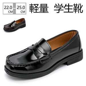 [t@[ fB[X w q ʊw ʋ wC wZ C y w  Z ₷ ₷ ɂ ɂȂ i h \