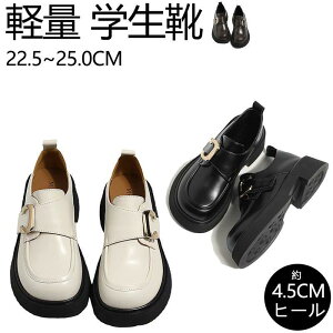 [t@[ fB[X w q ʊw ʋ wC wZ C y w  Z ₷ ₷ ɂ ɂȂ i h \