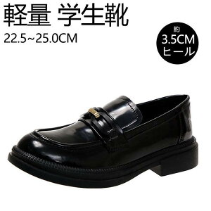 [t@[ fB[X w q ʊw ʋ wC wZ C y w  Z ₷ ₷ ɂ ɂȂ i h \