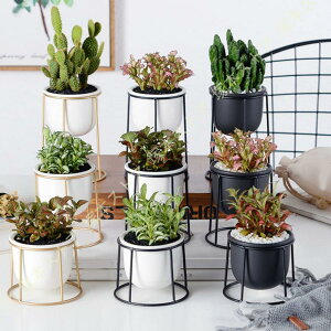 {[v^[X^h ubN t[X^h AX^h |X^h ϗtA    O K[fjOX^h ؍͔| Ԓd