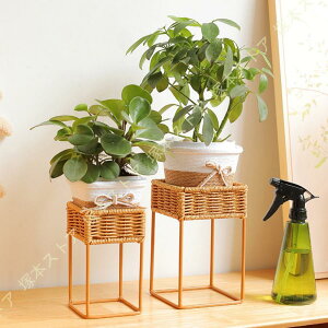 �v�����^�[�X�^���h ���^���� �A�ؔ��X�^���h �u���E�� ������� �X���� �R���p�N�g �A�C�A���t���[�� �y�� ���� �ϗt�A�� �k���� �U�ٕ҂� �ԑ� ���֏���