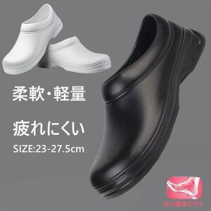 V[Y Y fB[X C i[XV[Y   C\[C pvX ƌC y ʋC Ōt d Xb|  jp ~[ T[rX