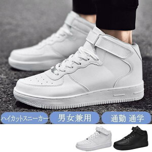 Xj[J[ Y fB[X Jbv jp nCJbg jOV[Y Xgbv JWA    V[Y ʋ ʊw