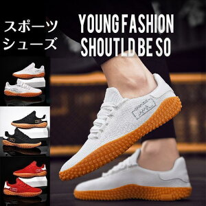 StV[Y Y fB[X XpCNXV[Y y ₷ Xj[J[ JWA jOV[Y EH[LOV[Y