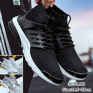 Xj[J[ Y jOV[Y YV[Y AEghA ʊw ʋ 傫TCY W EH[LO X|[c 􂦂 ʋC