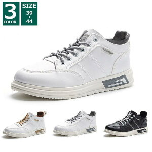 Xj[J[ Y Xj[J[ C nCJbg EH[LOV[Y  X|[c ^  Vv ʋC y Ȃ am