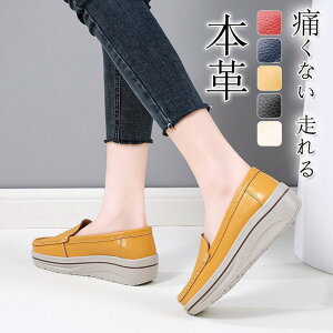 [t@[ fB[X q[ [t@[ pvX   ɂȂ  炩 d ʋ ItBX  킢 n r ʋ