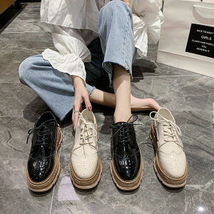 [t@[ fB[X pvX ECO`bv Xb|  vC C Ȃ 5cm [XAbv ʋ ʊw  i 