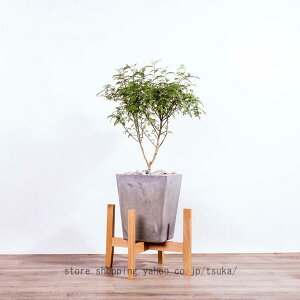 v^[X^h t[X^h VR ϗtA   ԕr u t[|bg Aؔ CeA pr \ k ԑ ؐ ԃ|bgz_