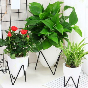 v^[X^h ubN ACA  fR[VX^h K[fjO ԑ v^[  O I |bN V u X