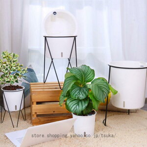 {[v^[X^h ubN ԑ t[X^h K[fjO   ƒ؉  ACA X`[ u Jo[ v^[X^h