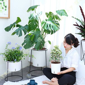 v^[ X^h |[v^[ {[v^[X^h Ƌ l炵 [ X^h Aؔ ԑ S h v ϗtA  Aؔu