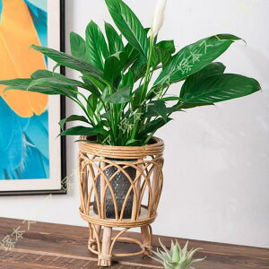 ؐ Jo[ O X^h X^h v^[X^h  v^[ ٕ҂  t[X^h  u ϗtA Aؔ  |bg