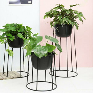 t[X^h   O ACA{[v^[X^h X^h v^[bN ԑ Jo[ u AؔX^h v[g 