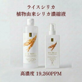【公式】ライスシリカ 500ml rice silica 濃縮 シリカ 植物性シリカ 飲用 シリカ原液 シリカ水 水溶性 ケイ素 ケイソ 珪素 原液 ボタニカル ケイ素 ボタ シリカ ケイ素 シリカのある生活